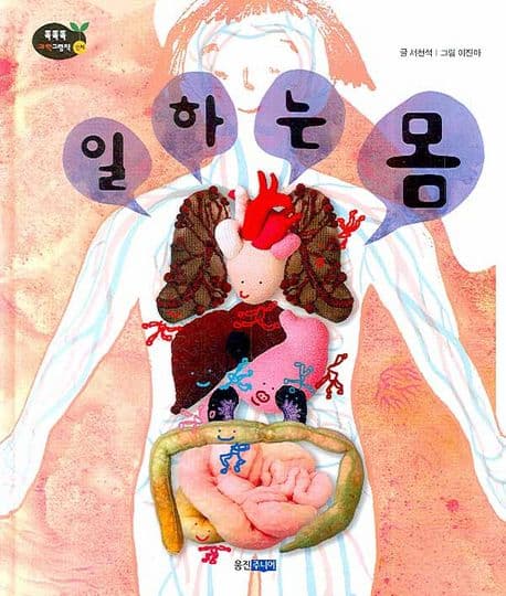 일하는 몸 표지