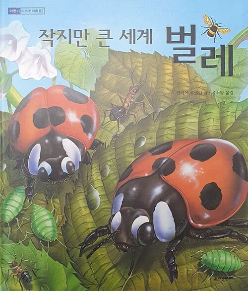 (작지만 큰 세계)벌레 표지