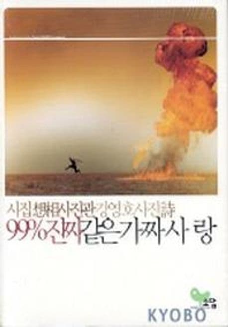 99%진짜같은 가짜사랑 표지