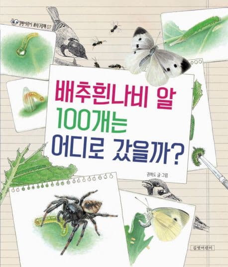 배추흰나비 알 100개는 어디로 갔을까? 표지