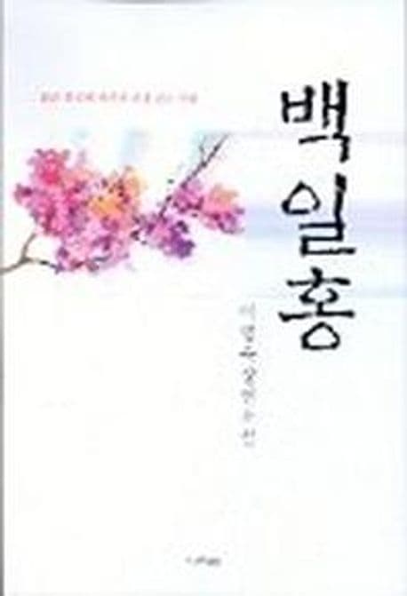백일홍 표지