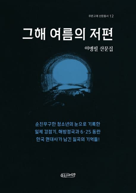 그해 여름의 저편 표지
