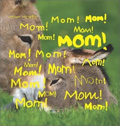 세상에서 가장 따뜻한 mom 표지