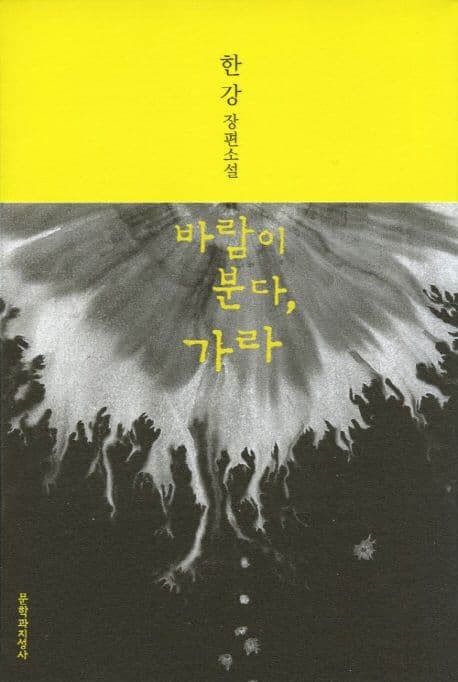 바람이 분다, 가라 : 한강 장편소설 표지