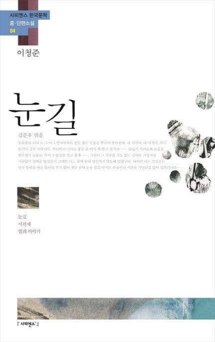 눈길, 서편제, 벌레 이야기 표지