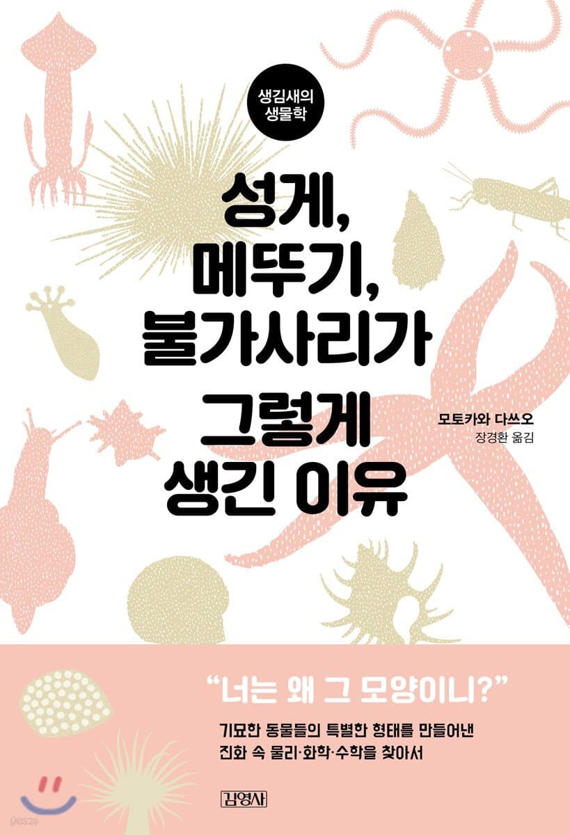 성게, 메뚜기, 불가사리가 그렇게 생긴 이유 : 생김새의 생물학 표지