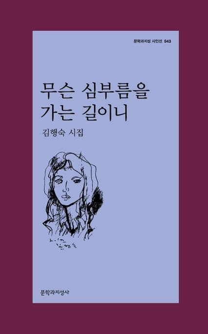 무슨 심부름을 가는 길이니 : 김행숙 시집 표지