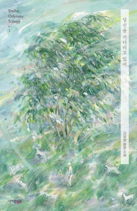 당신을 기다리고 있어 : 김보영 장편소설 표지