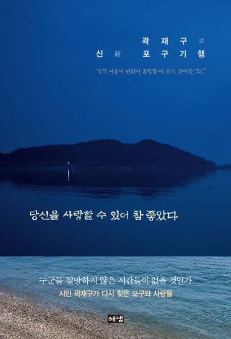당신을 사랑할 수 있어 참 좋았다 : 곽재구의 신 포구기행 표지