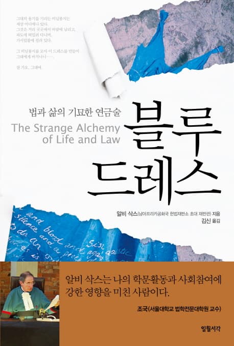 블루 드레스 : 법과 삶의 기묘한 연금술 표지