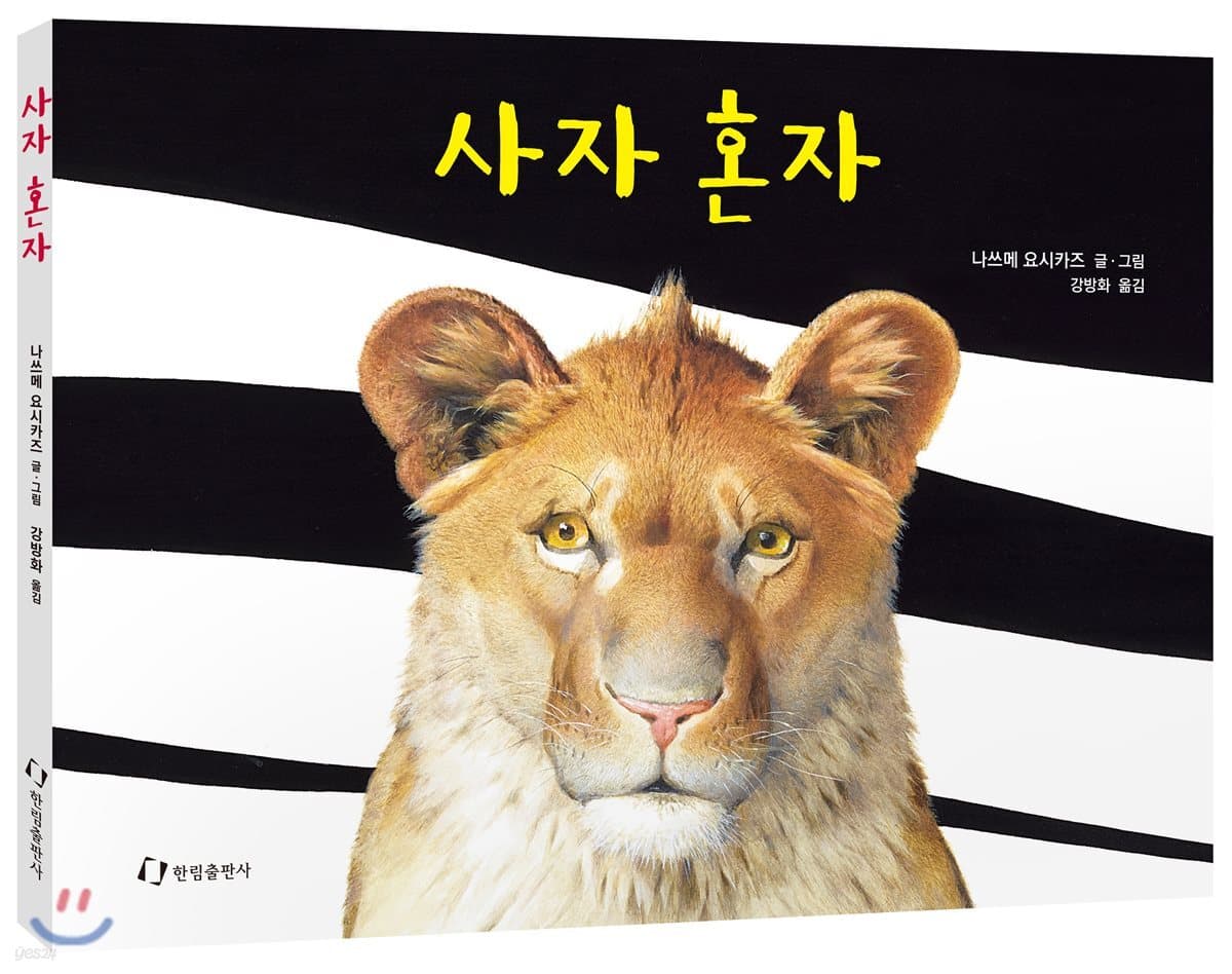 사자 혼자 표지