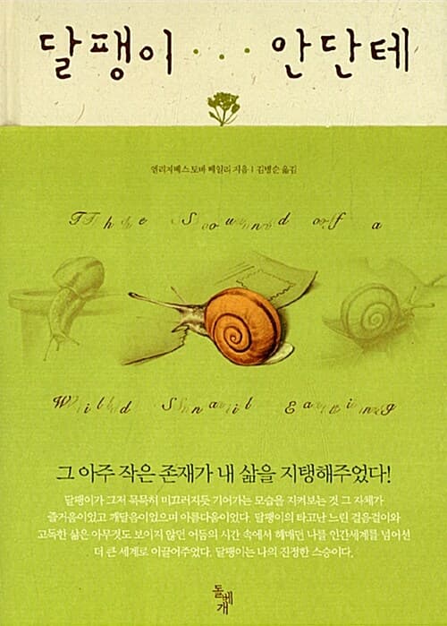 달팽이 안단테 표지