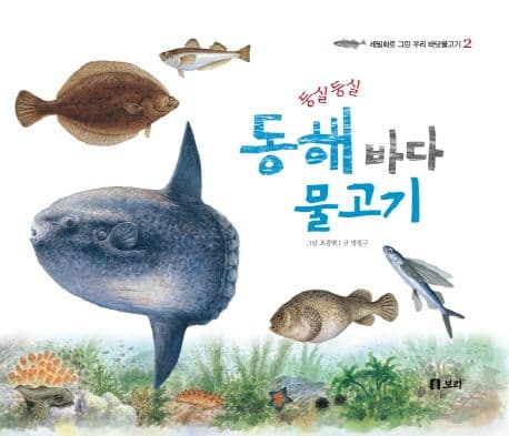 (둥실둥실) 동해 바다 물고기 표지
