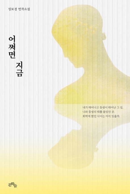 어쩌면 지금 : 성보경 연작소설 표지