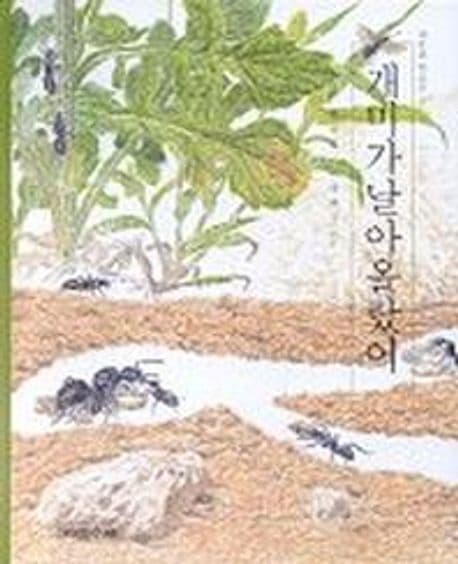 개미가 날아올랐어 표지