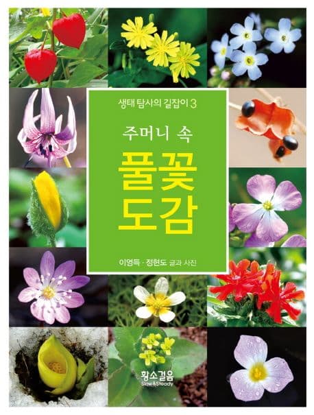 (주머니 속) 풀꽃도감 표지