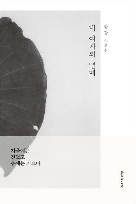 내 여자의 열매 : 한강 소설집 표지