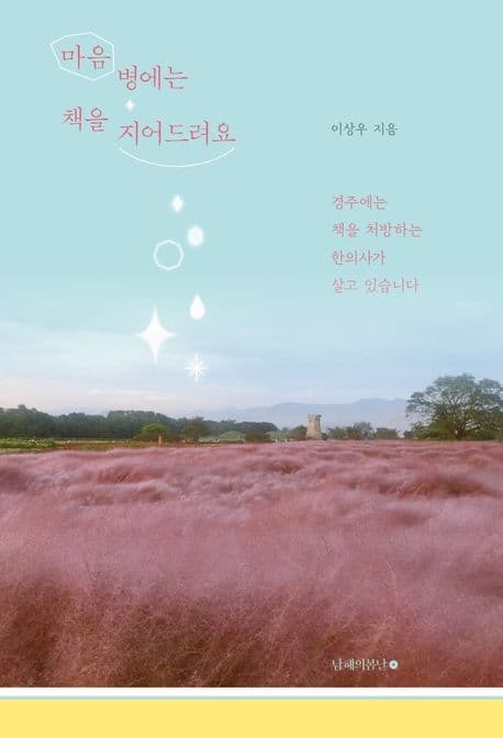 마음 병에는 책을 지어드려요 : 경주에는 책을 처방하는 한의사가 살고 있습니다 표지