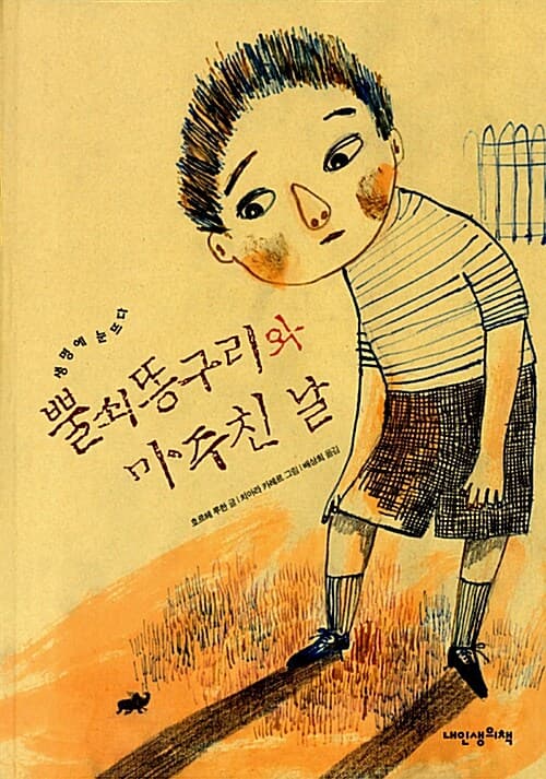 뿔쇠똥구리와 마주친 날 표지