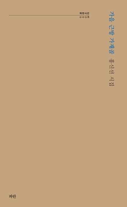 가을 근방 가재골 : 홍신선 시집 표지