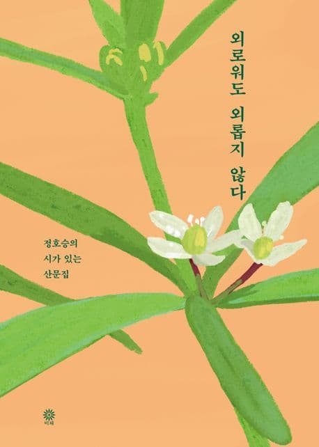 외로워도 외롭지 않다 : 정호승의 시가 있는 산문집 표지