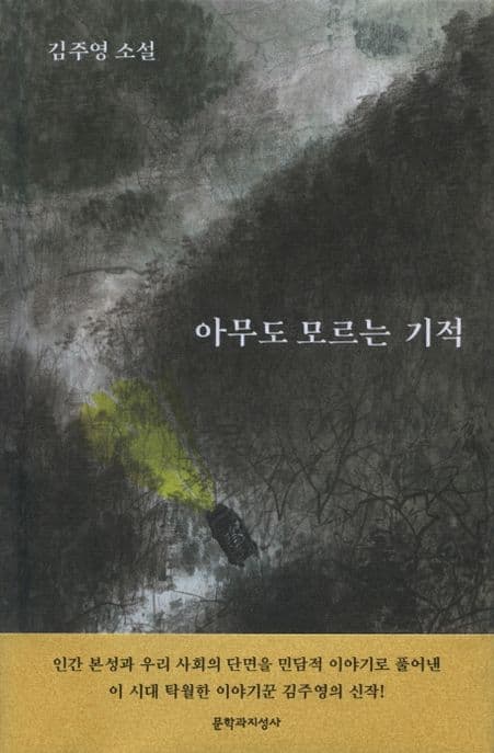 아무도 모르는 기적 : 김주영 소설 표지