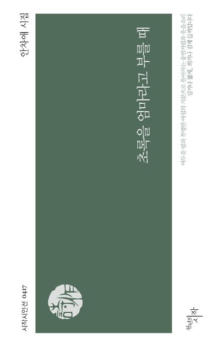 초록을 엄마라고 부를 때 : 안차애 시집 표지