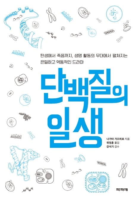 단백질의 일생 : 탄생에서 죽음까지, 생명 활동의 무대에서 펼쳐지는 은밀하고 역동적인 드라마 표지