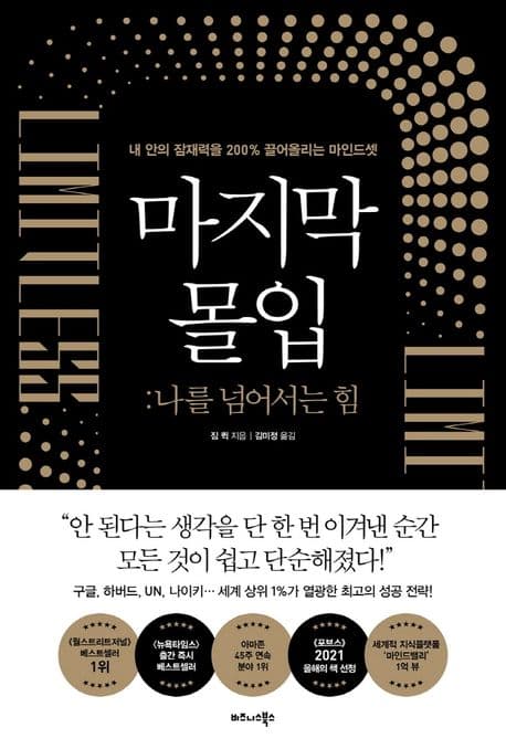 마지막 몰입 : 나를 넘어서는 힘 표지