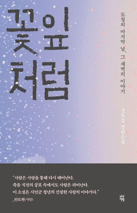 꽃잎처럼 : 1980.5.27 그 새벽의 이야기 : 정도상 장편소설 표지