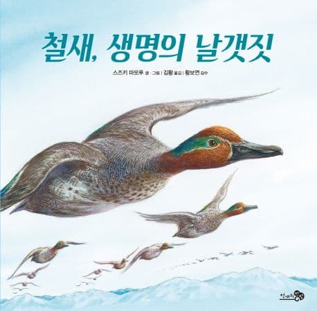 철새, 생명의 날갯짓 표지