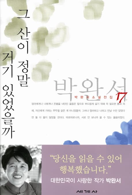 그 산이 정말 거기 있었을까 표지