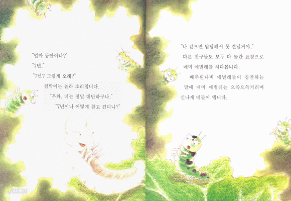 용감한 점박이 표지