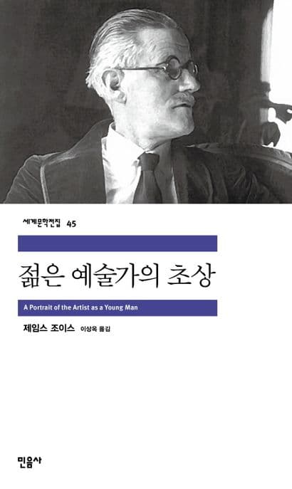 젊은 예술가의 초상 표지