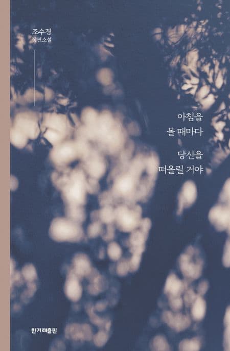 아침을 볼 때마다 당신을 떠올릴 거야 : 조수경 장편소설 표지