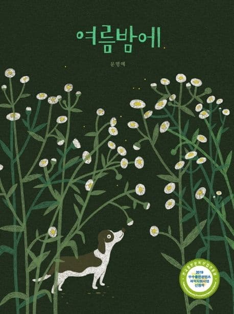 여름밤에 표지