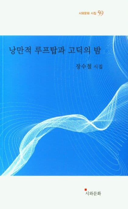 낭만적 루프탑과 고딕의 밤 : 장수철 시집 표지