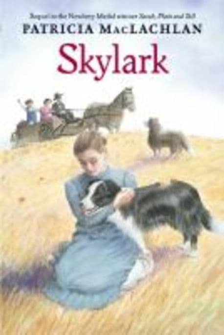 Skylark 표지