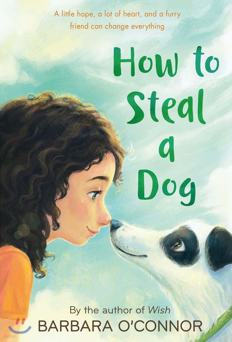 How to Steal a Dog 표지