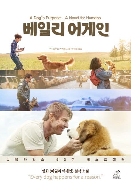 베일리 어게인 표지