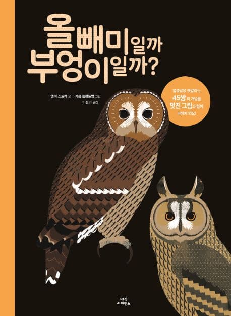 올빼미일까 부엉이일까? 표지