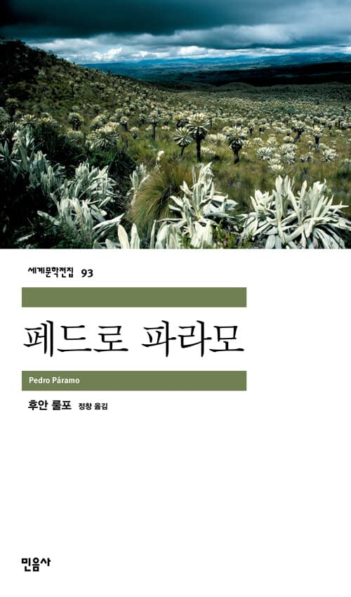 뻬드로 빠라모 표지