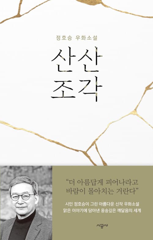산산조각 : 정호승 우화소설 표지