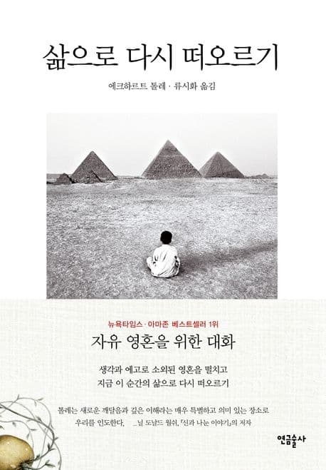 삶으로 다시 떠오르기 표지