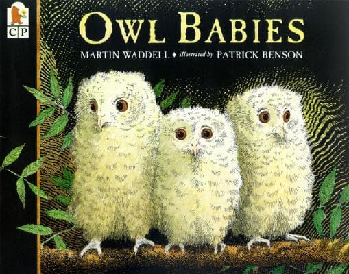 Owl babies 표지