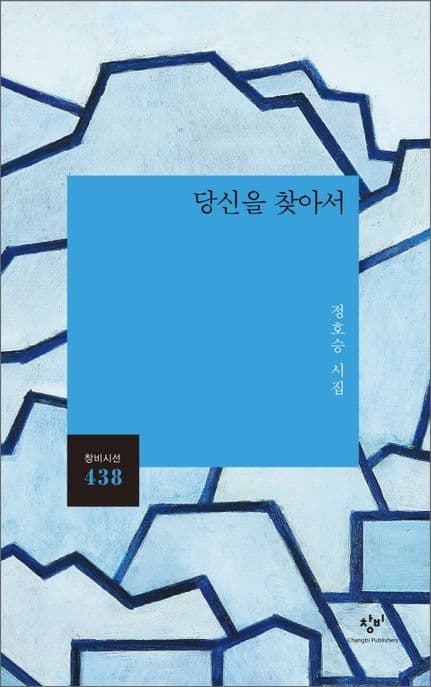 당신을 찾아서 : 정호승 시집 표지