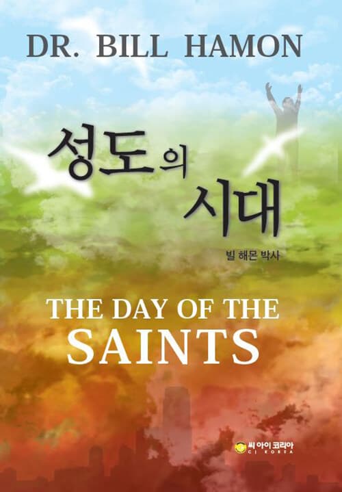 성도의 시대 : 사역에 있어서 성도들의 혁신적인 역할을 위한 준비 표지