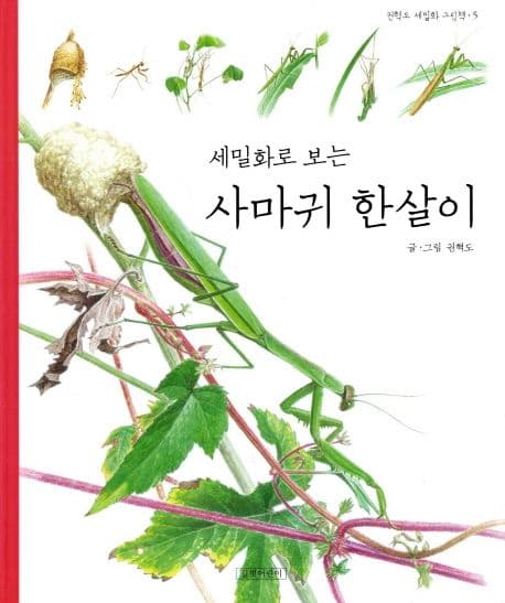 세밀화로보는 사마귀 한살이 표지