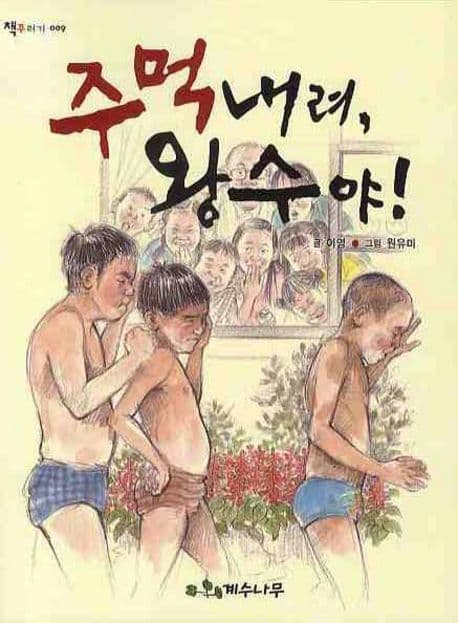 주먹내려, 왕수야! 표지