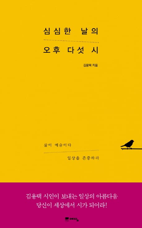 심심한 날의 오후 다섯 시 표지